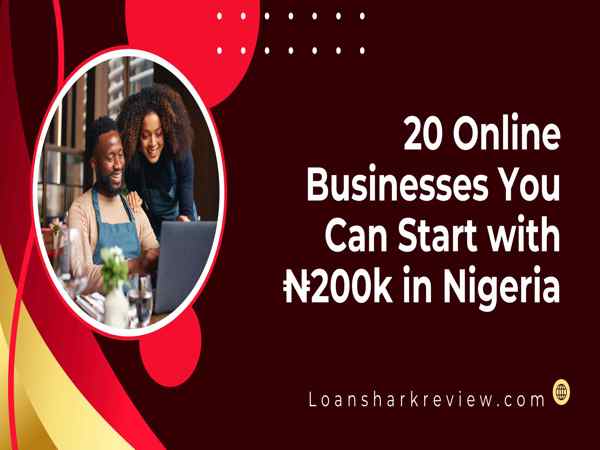 20 Online Businesses You Can Start with N200k in Nigeria